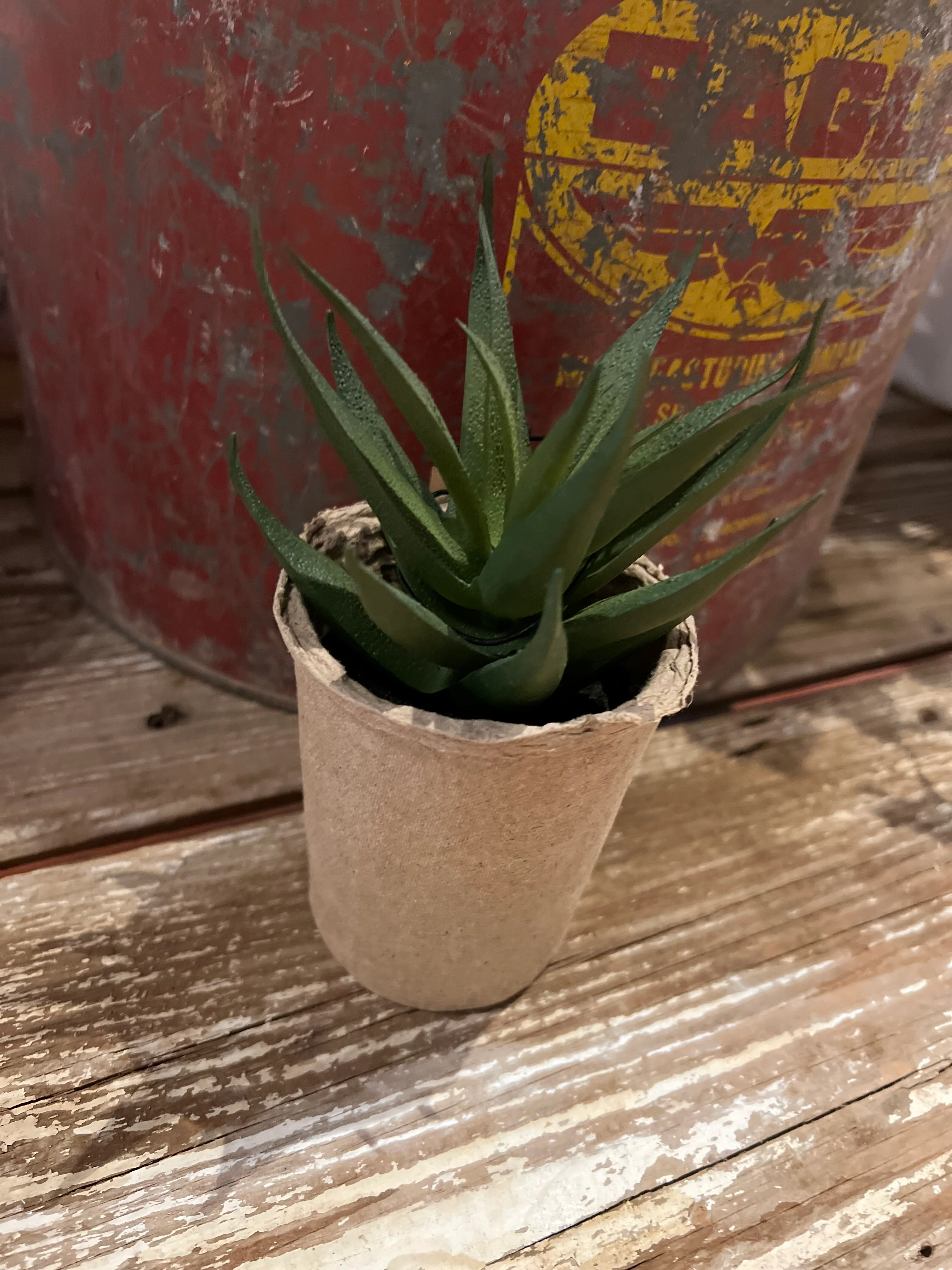 Faux Succulent in Paper Pot - Image 9