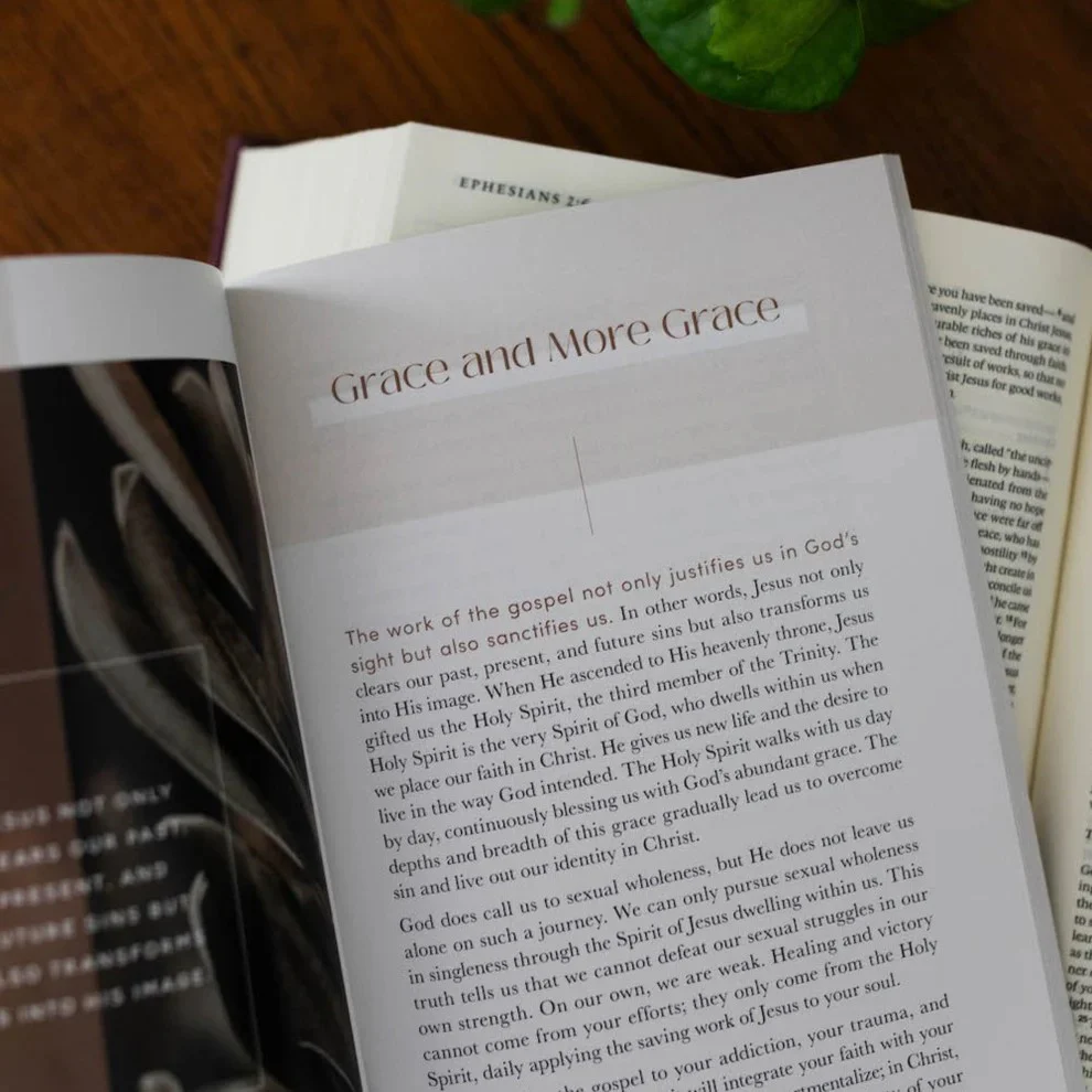 Gospel Hope in Sexuality and Singleness - Image 5