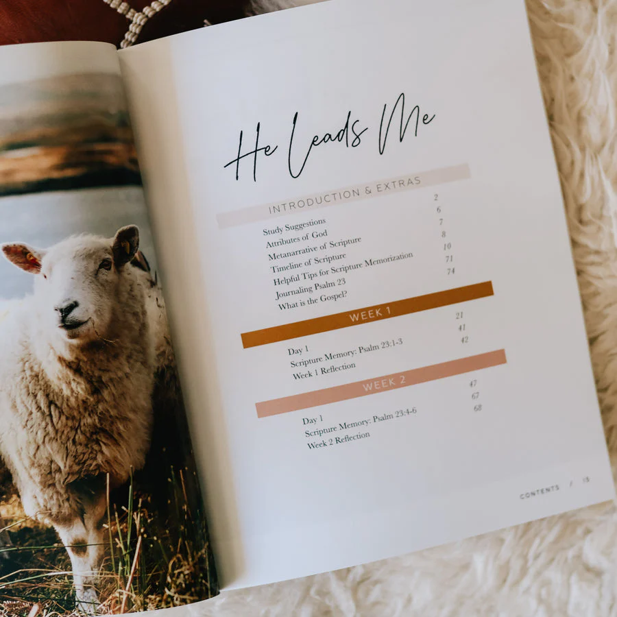 He Leads Me | Psalm 23 - Image 4