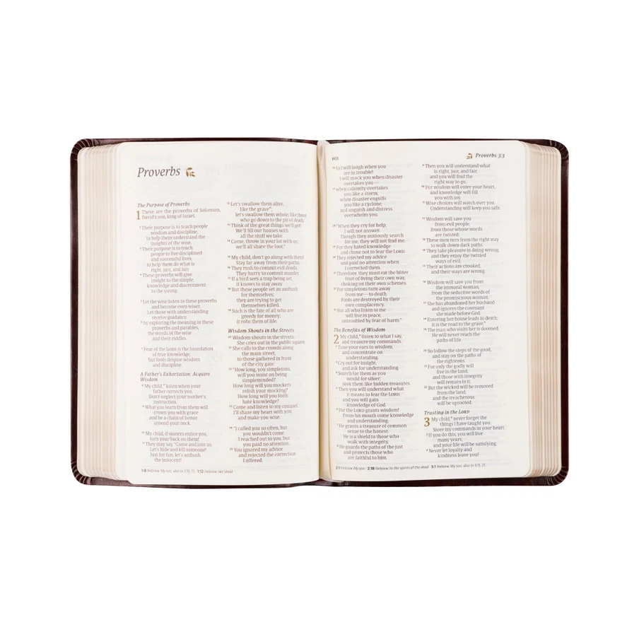 NLT Compact Bible | Yorkshire Theme - Image 4